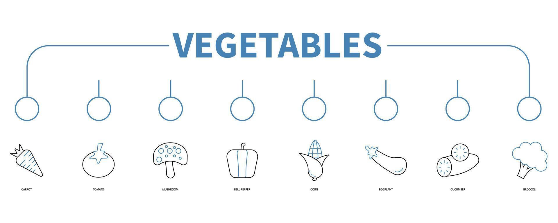 Vegetables banner web icon vector illustration concept
