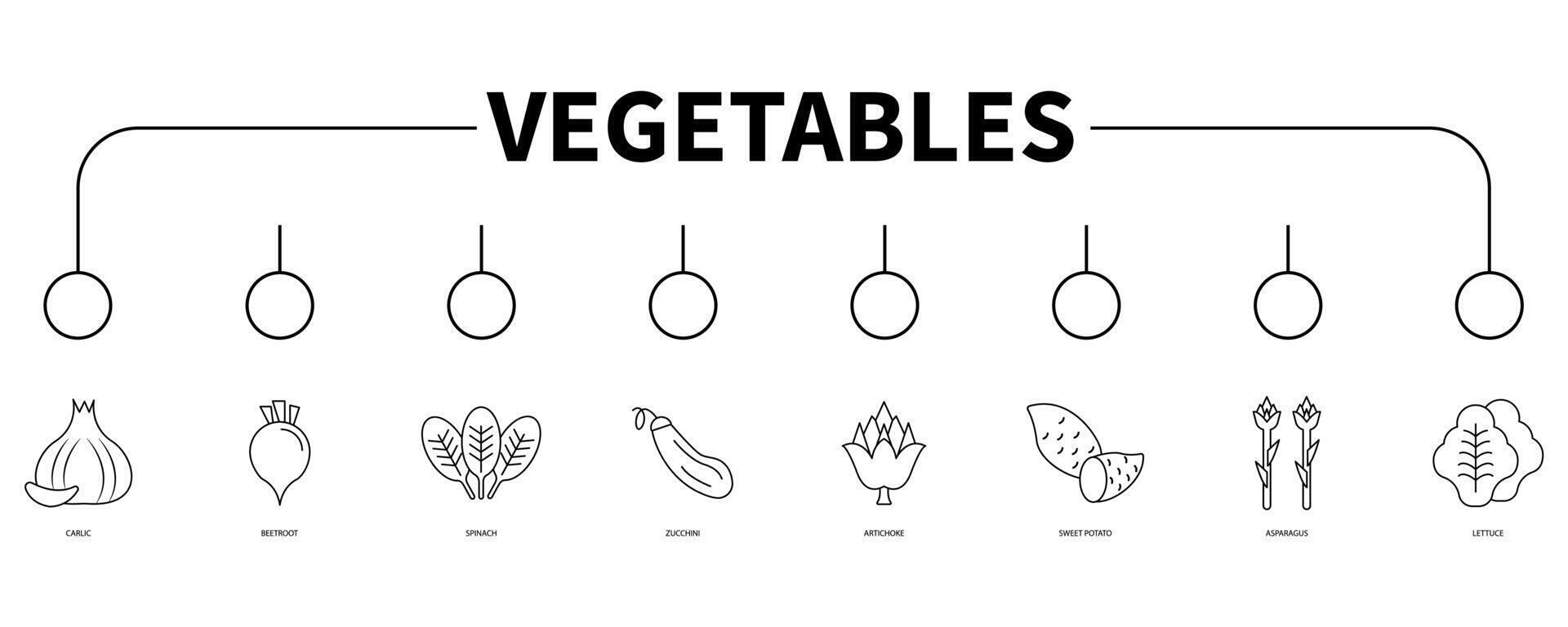 Vegetables banner web icon vector illustration concept