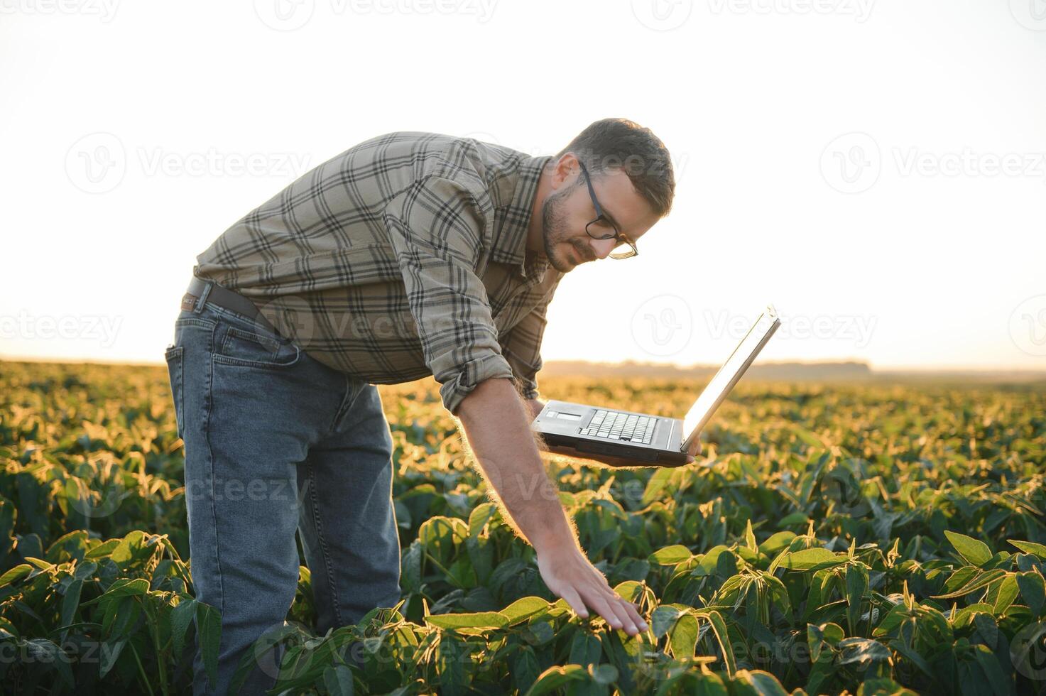 agrónomo inspeccionando soja frijol cultivos creciente en el granja campo. agricultura producción concepto. joven agrónomo examina haba de soja cosecha en campo en verano. granjero en haba de soja campo foto