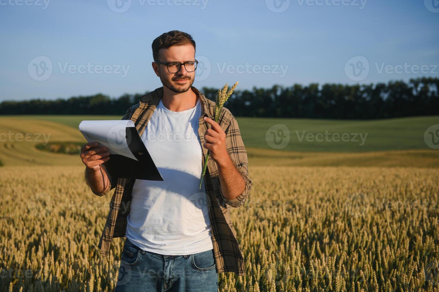 Farmer In Wheat Field At Harvest photo