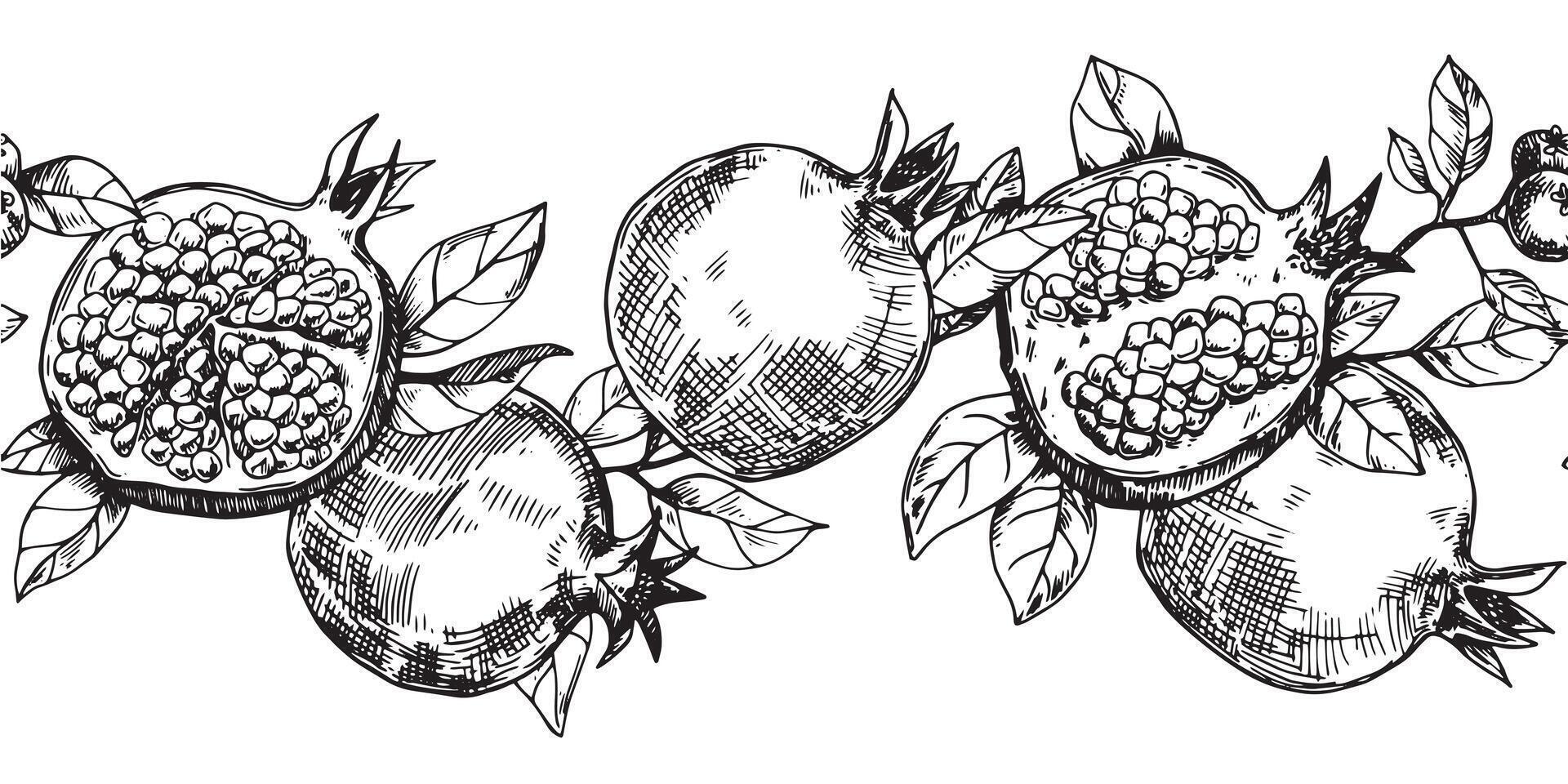 seamless border of fruits and pomegranate leaves, vector pattern in sketch style.