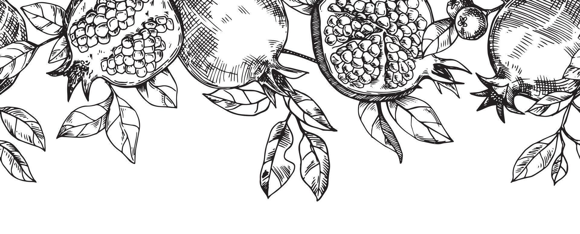 seamless border of fruits and pomegranate leaves, vector pattern in sketch style.