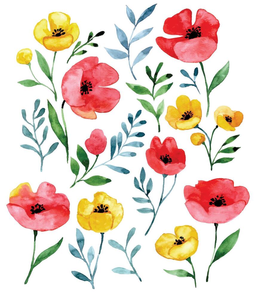 watercolor set with wildflowers. red and yellow poppies on a white background, abstract print vector