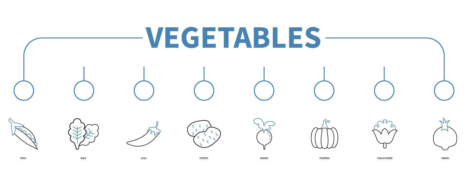 Vegetables banner web icon vector illustration concept