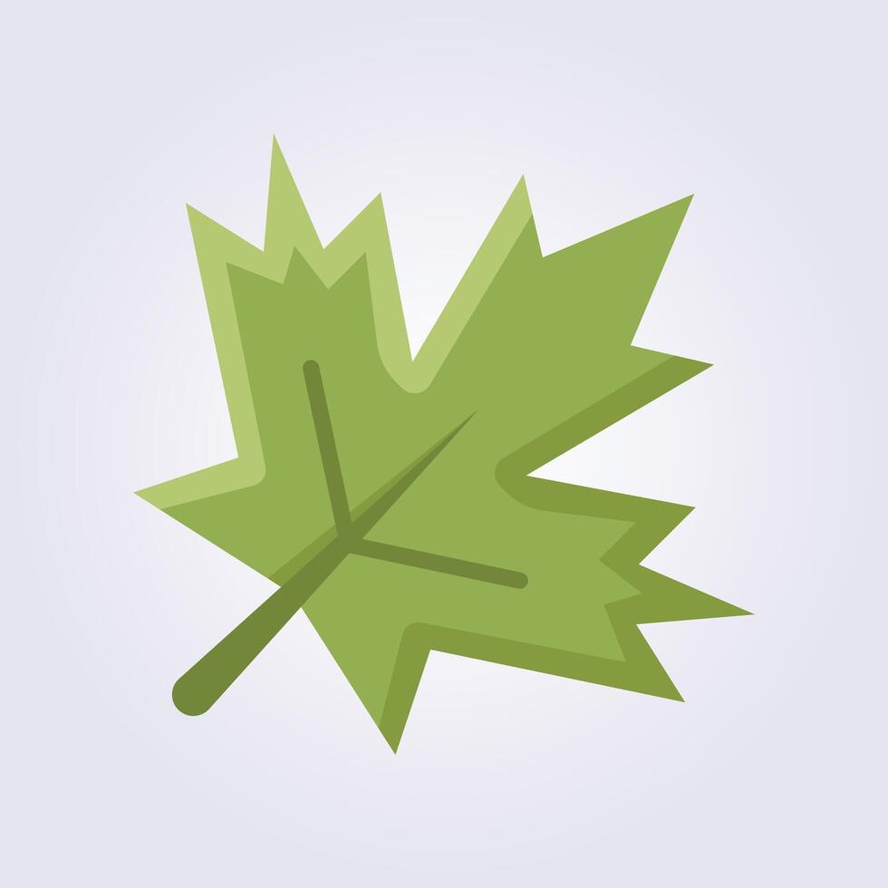 flat icon of maple leaf vector logo design