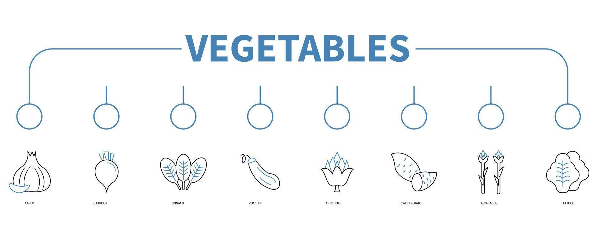 vegetales bandera web icono vector ilustración concepto
