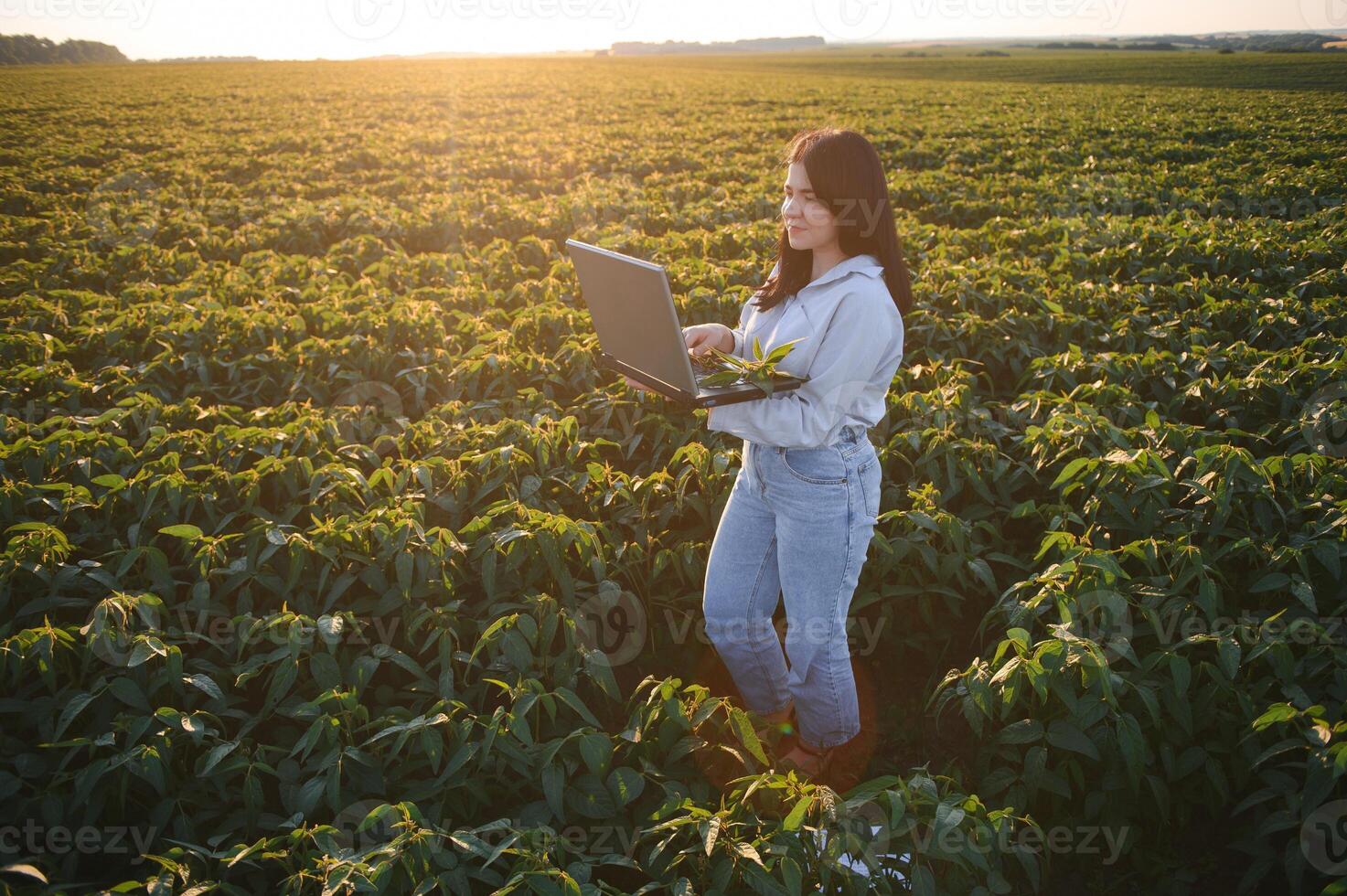 Caucasian female farm worker inspecting soy at field summer evening time. photo