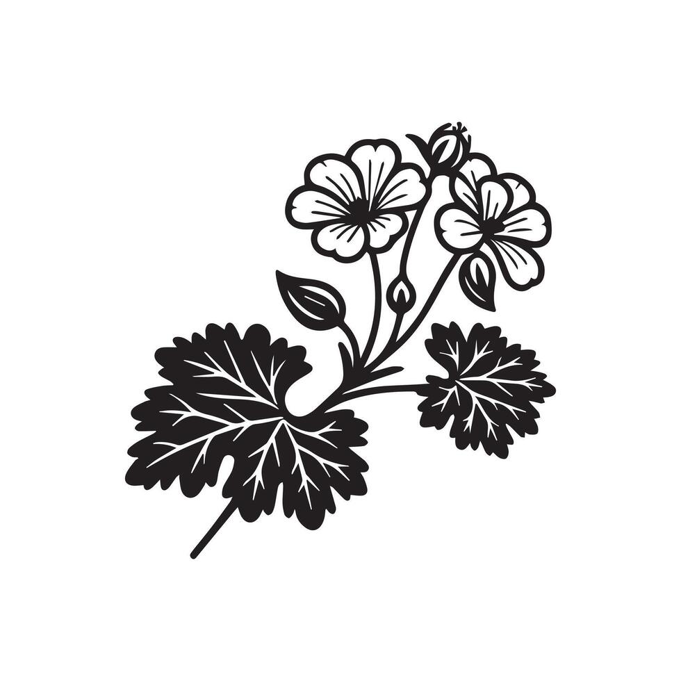 AI generated Geranium flower silhouette black and white illustration vector