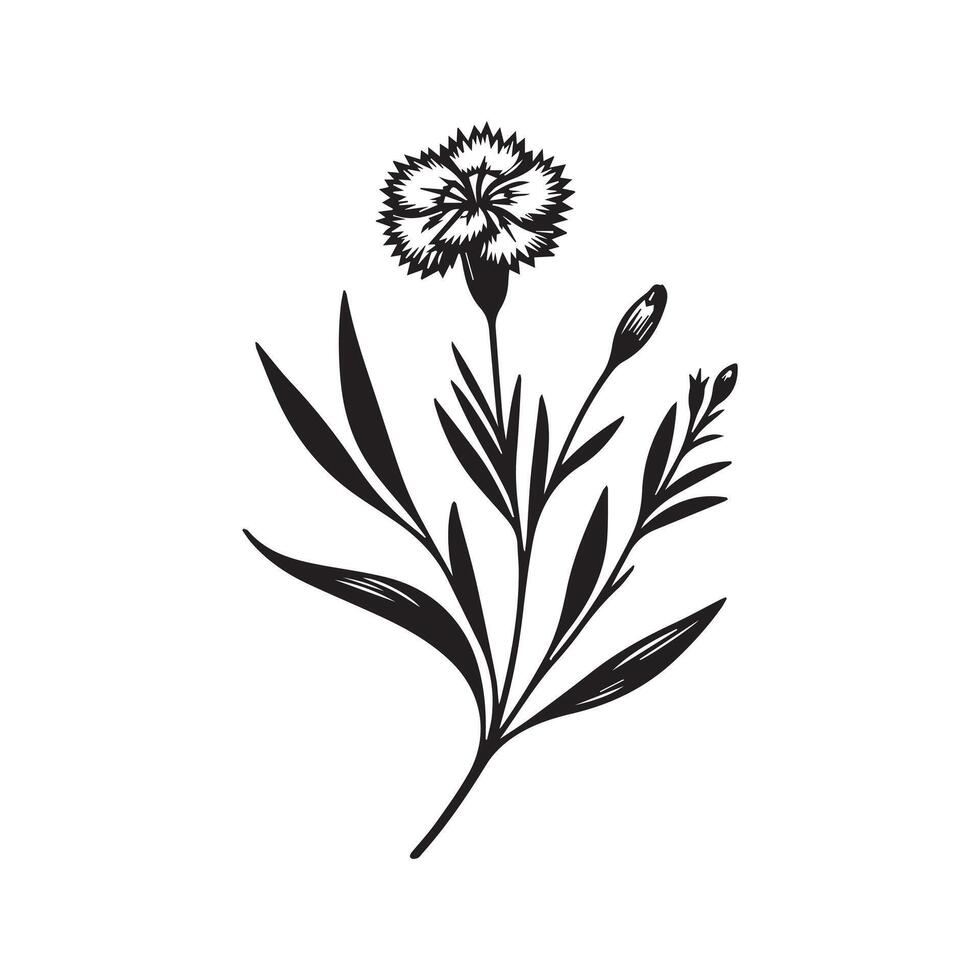 AI generated Dianthus flower silhouette black and white illustration vector