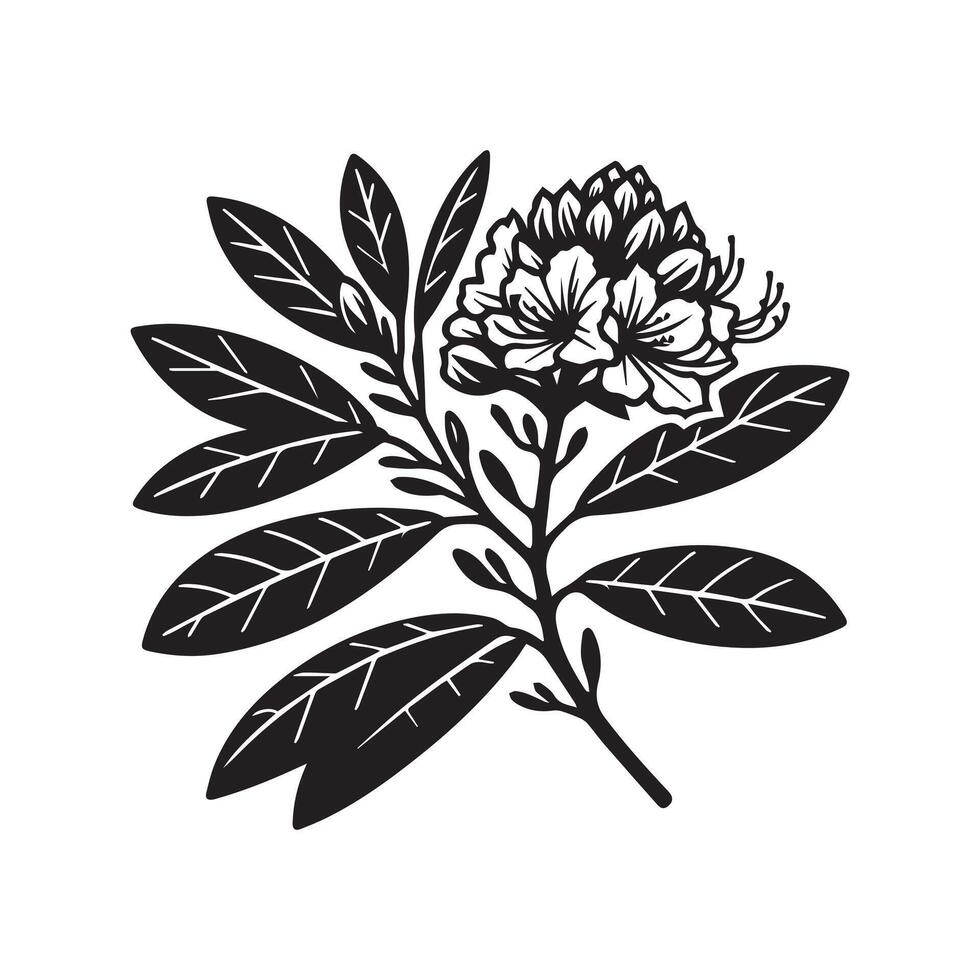 AI generated Rhododendron flower silhouette black and white illustration vector