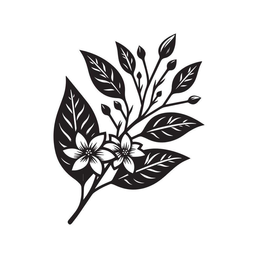 AI generated Jasmine flower silhouette black and white illustration vector