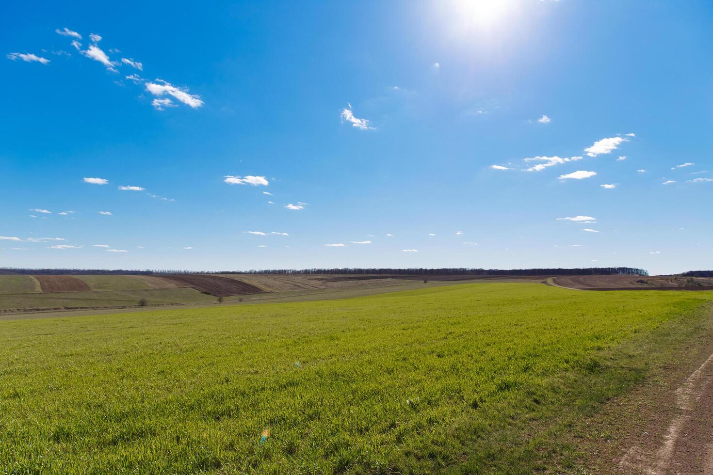 spring grass field and mountains, beautiful background, green grass, beautiful sky over the field photo