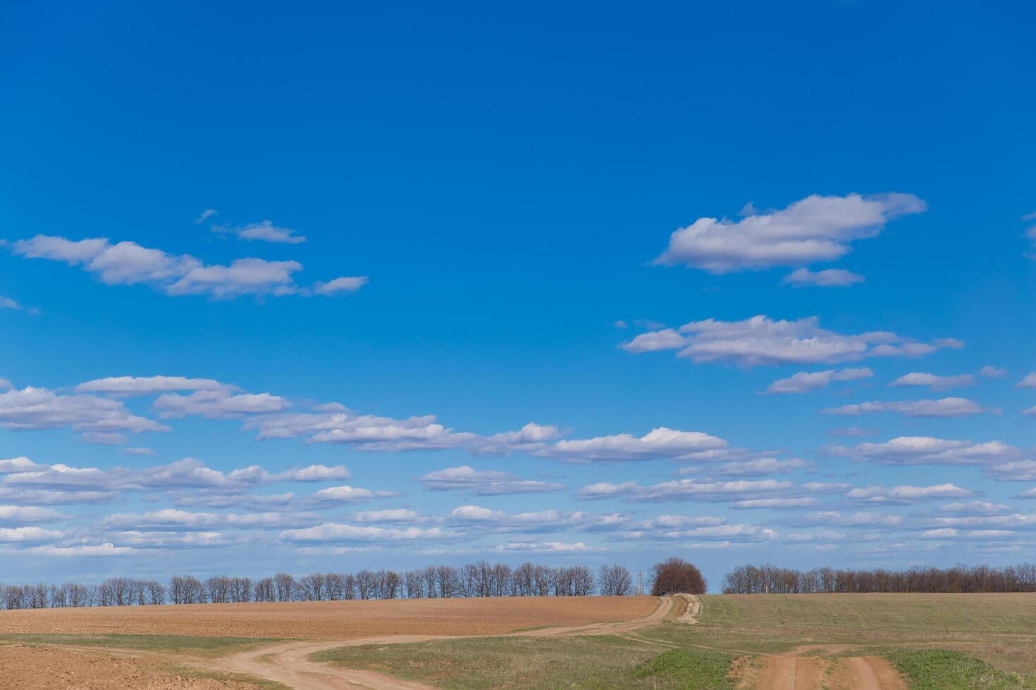 primavera césped campo y montañas, hermosa fondo, verde césped, hermosa cielo terminado el campo foto