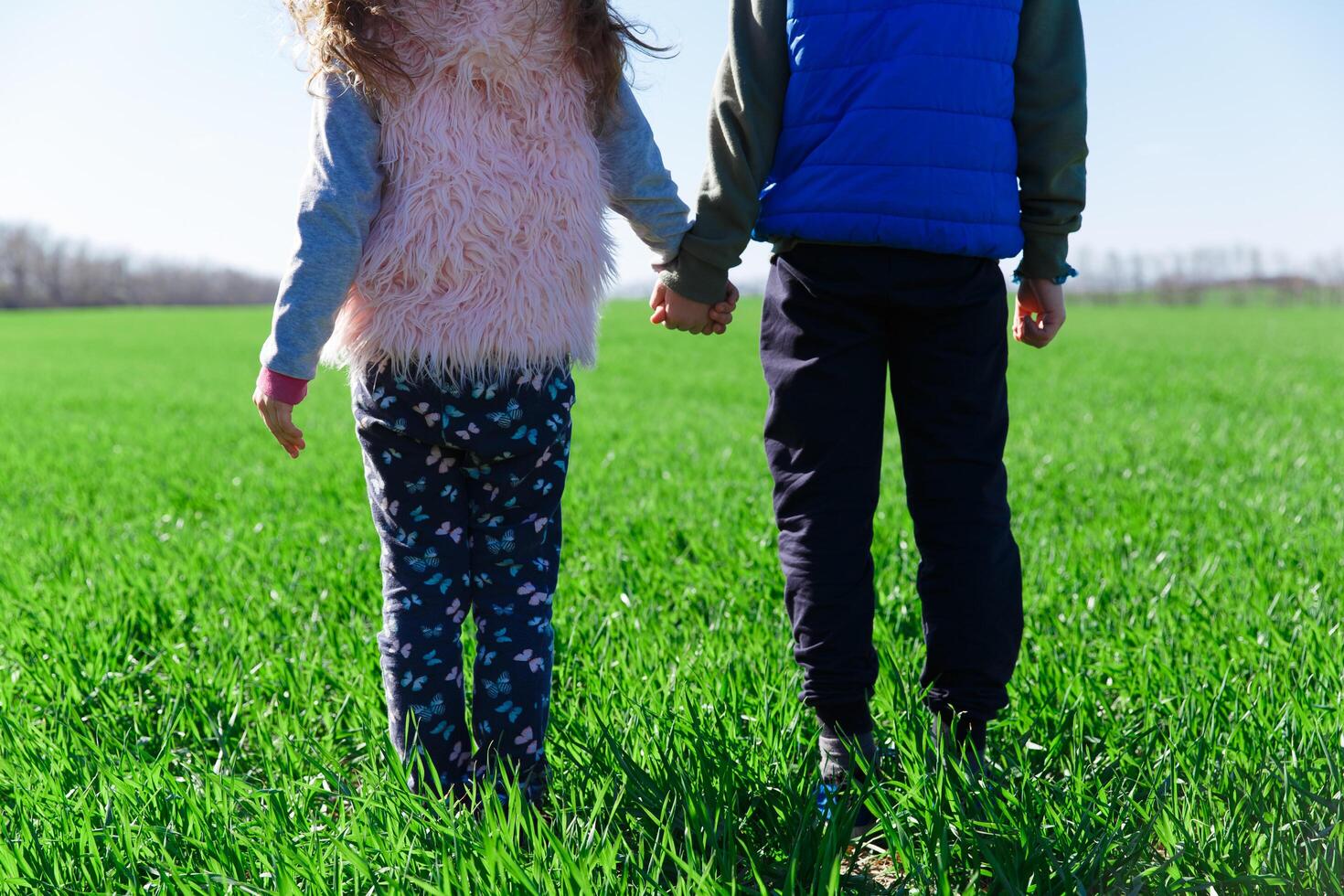 children stand on a field with green grass, spring photo