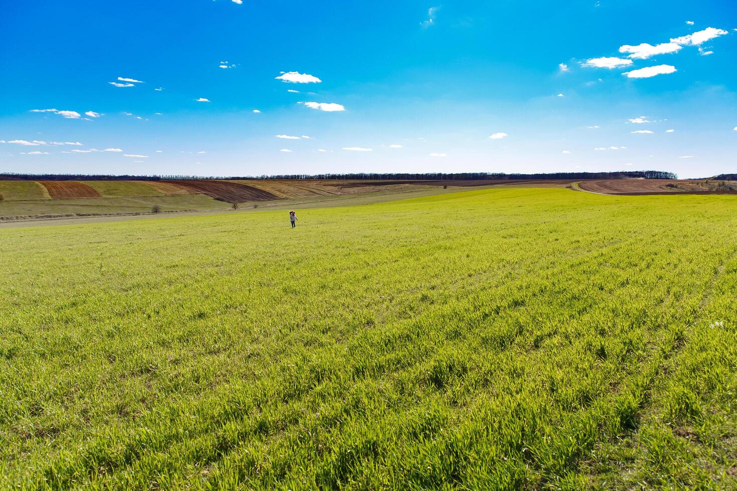 spring grass field and mountains, beautiful background, green grass, beautiful sky over the field photo