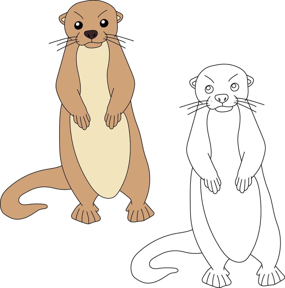 Sea Otter Clipart. Outline and Colorful Otters vector