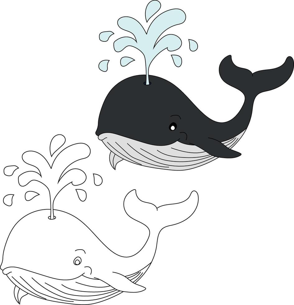 Whale Clipart Set. Colorful and Outline Whales Clipart vector