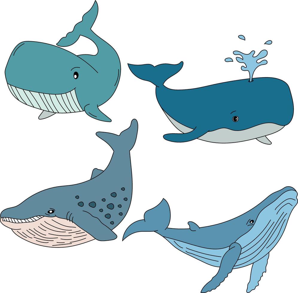 Colorful Whale Clipart Set vector