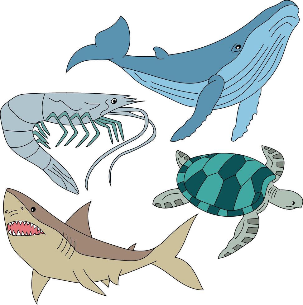 acuático animales clipart colocar. mar tortuga, tiburón, camarón, ballena vector