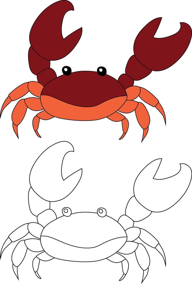 Crab Clipart Set. Colorful and Outline Crabs from The Sea Life vector