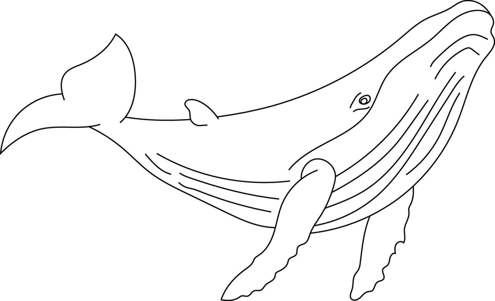 Outline Whale Clipart for Lovers of Ocean Creatures vector