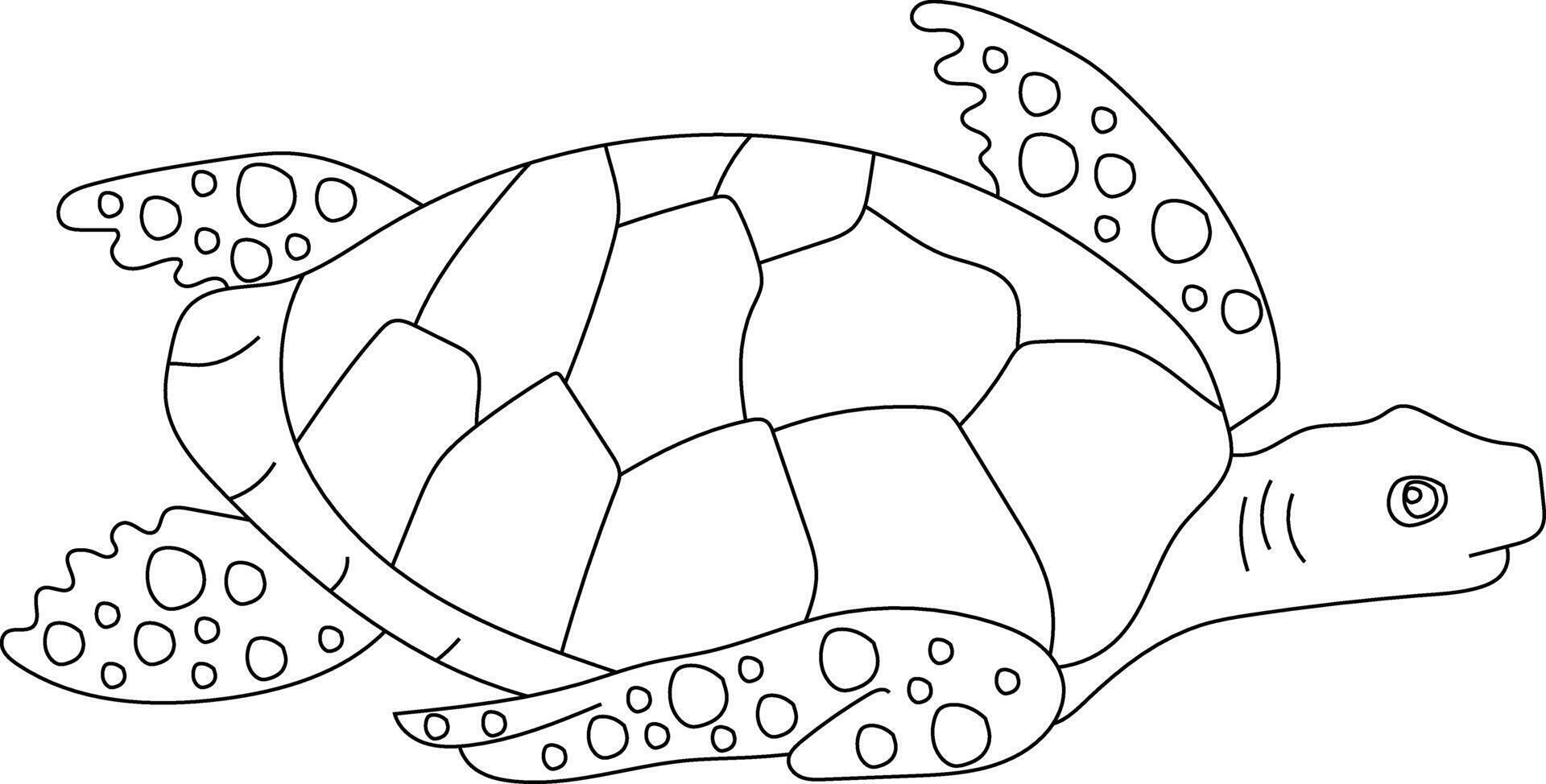 Outline Sea Turtle Clipart vector