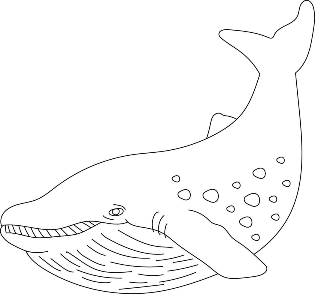Outline Whale Clipart for Lovers of Ocean Creatures vector