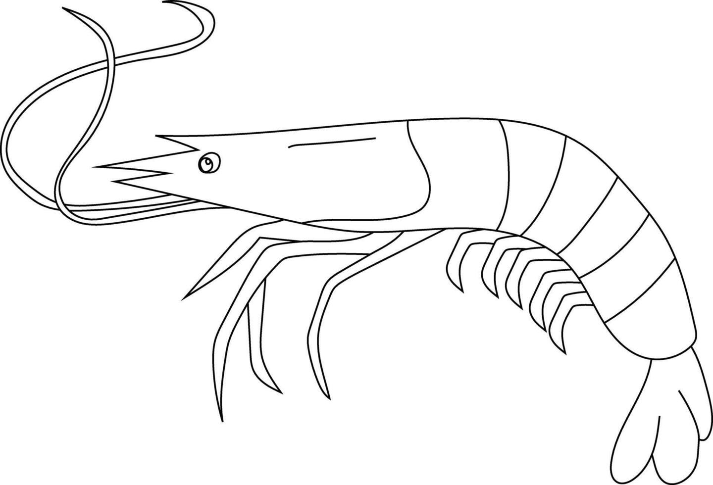 Outline Shrimp Clipart for Lovers of Marine Life vector