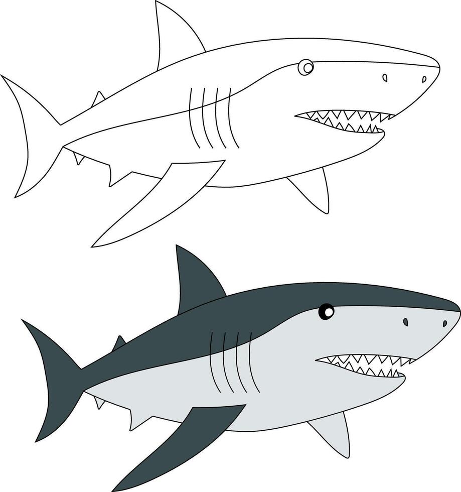 Shark Clipart Set. Colorful and Outline Sharks vector