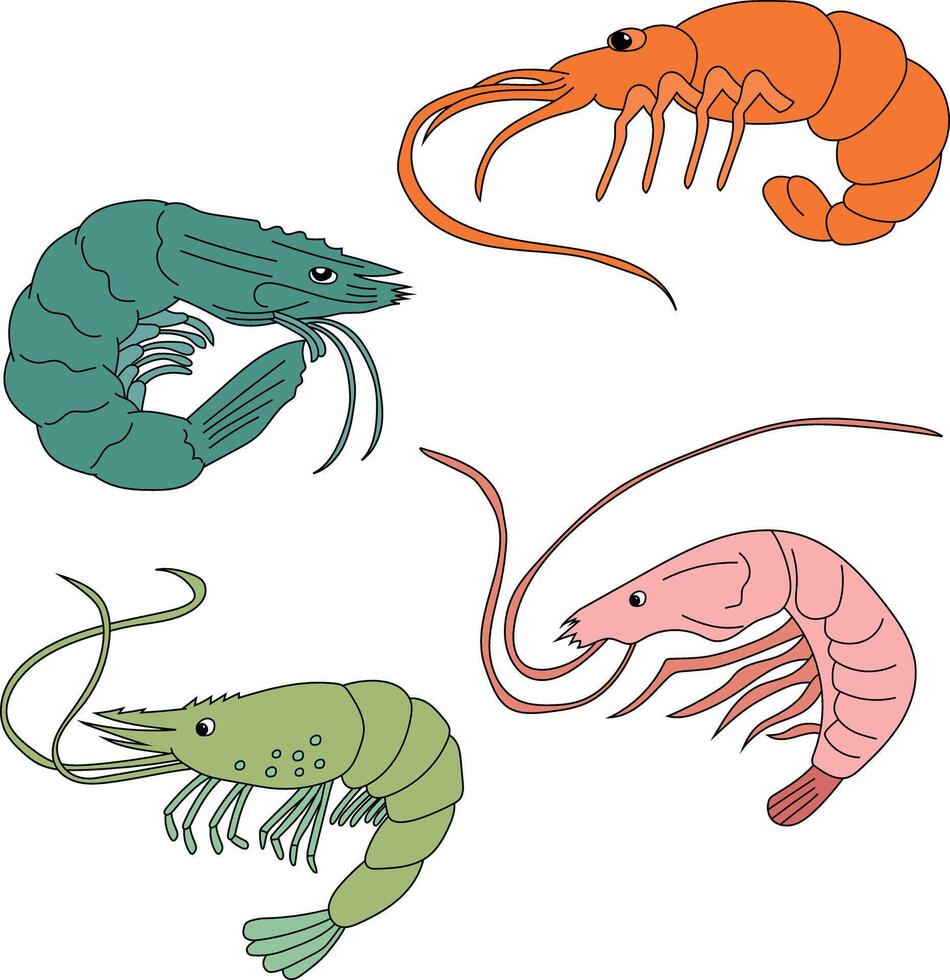 Colorful Shrimp Clipart Set from the Aquatic Life vector