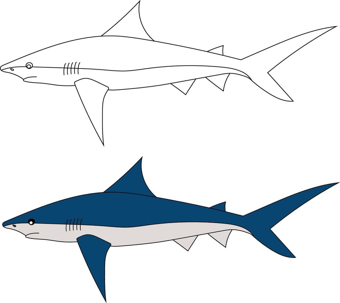 Shark Clipart Set. Colorful and Outline Sharks vector