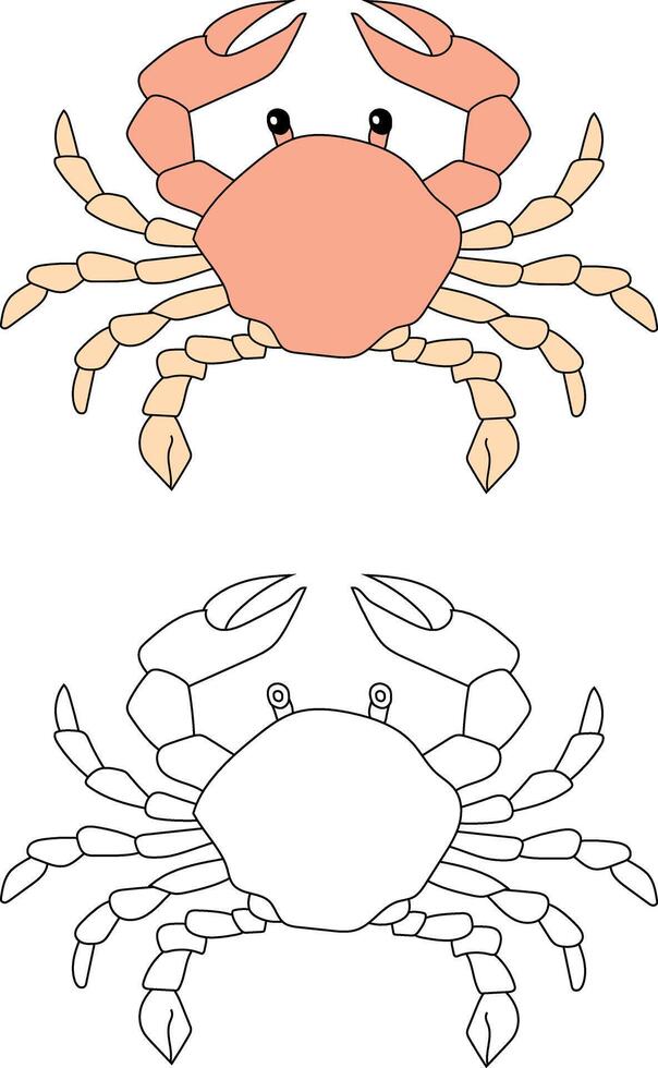 Crab Clipart Set. Colorful and Outline Crabs from The Sea Life vector