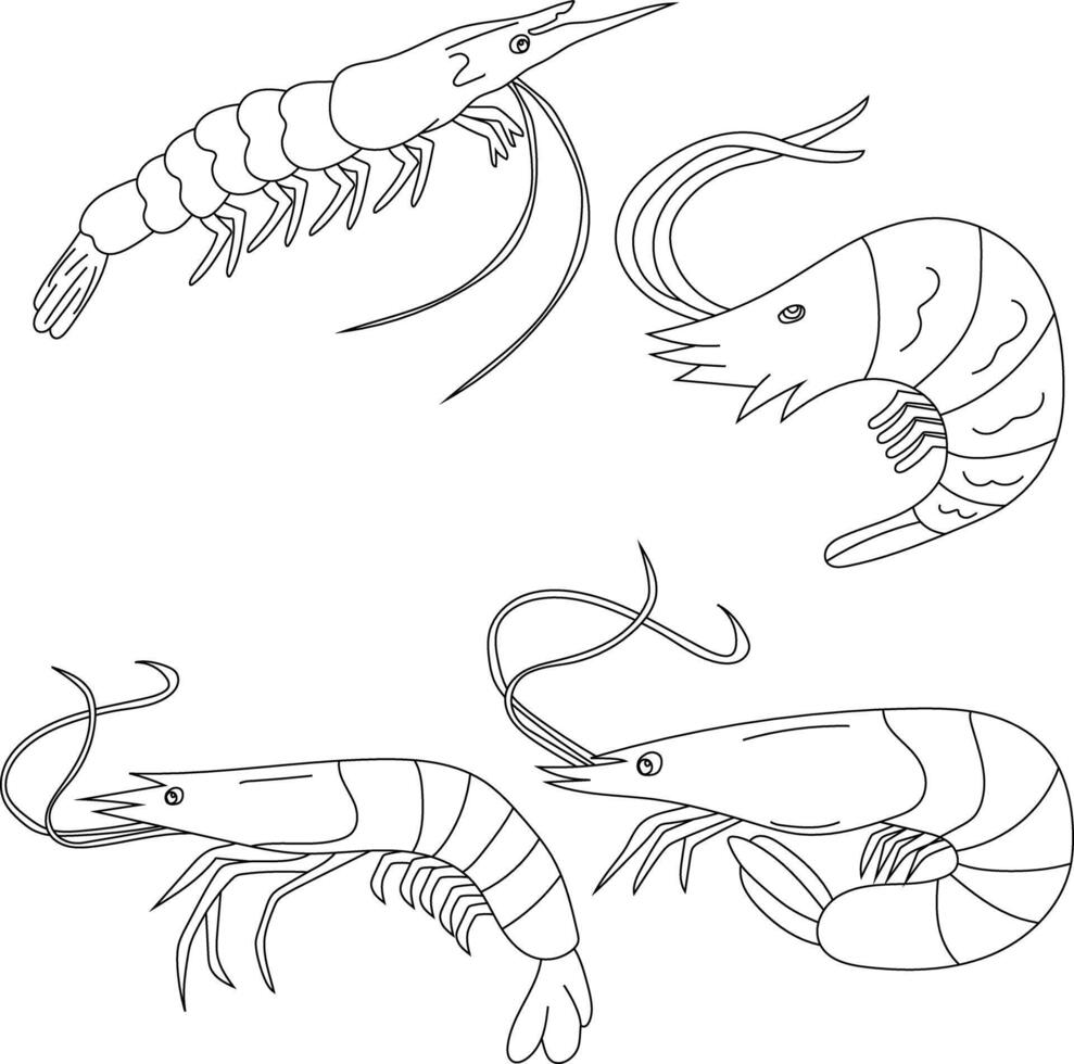 Outline Shrimp Clipart Set for Aquatic Life Lovers vector