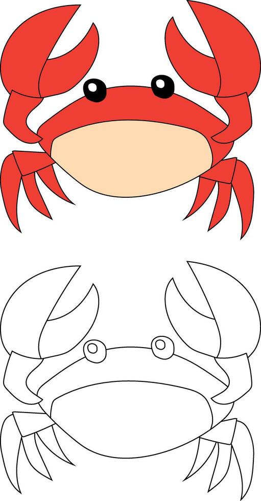 Crab Clipart Set. Colorful and Outline Crabs from The Sea Life vector
