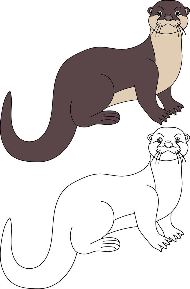 Sea Otter Clipart. Outline and Colorful Otters vector