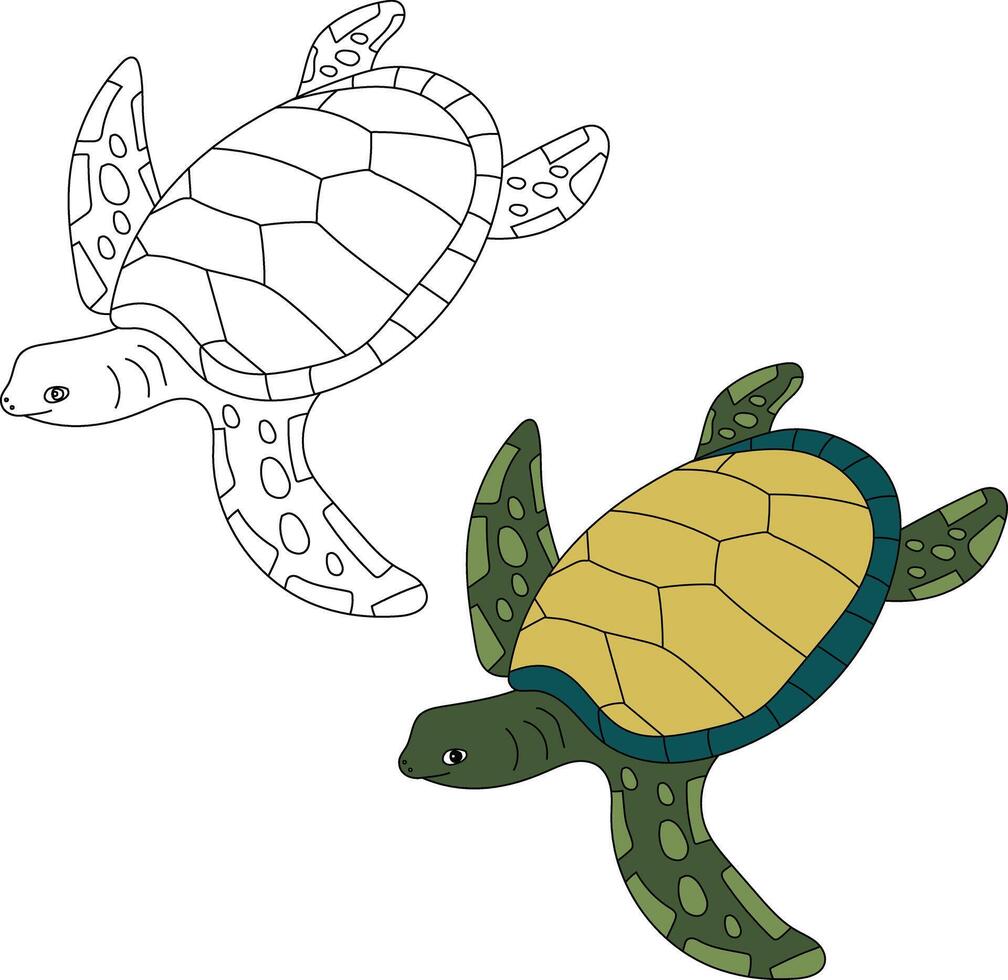 Sea Turtle Clipart Set. Outline and Colorful Turtles vector