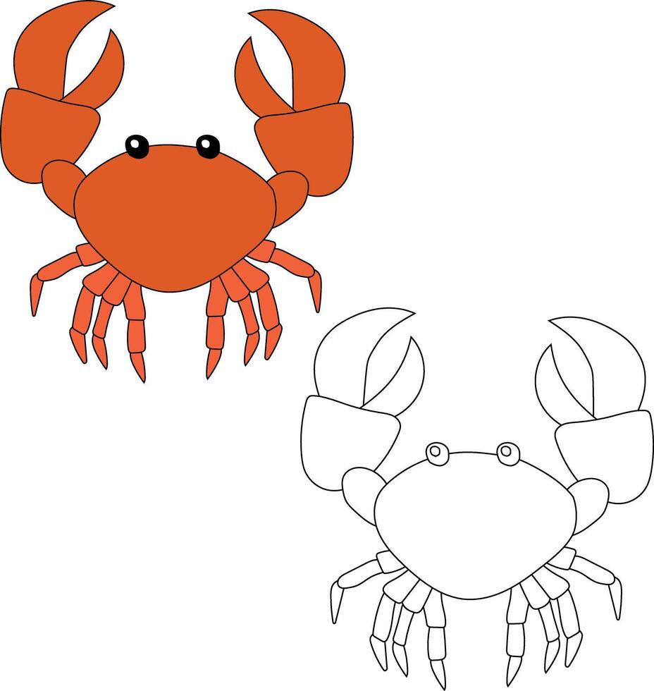 Crab Clipart Set. Colorful and Outline Crabs from The Sea Life vector