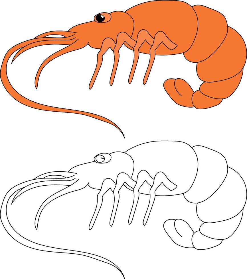 Shrimp Clipart Set Colorful and Outline Shrimps vector