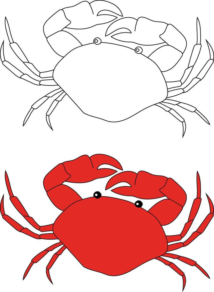 Crab Clipart Set. Colorful and Outline Crabs from The Sea Life vector