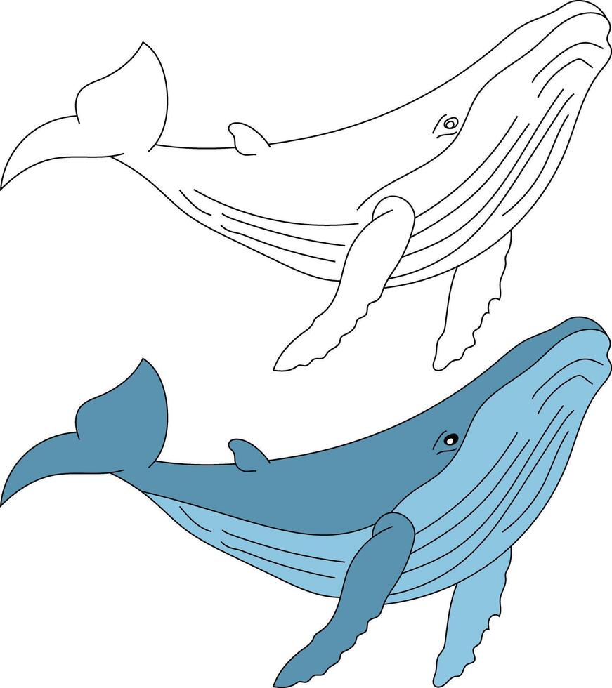 Whale Clipart Set. Colorful and Outline Whales Clipart vector