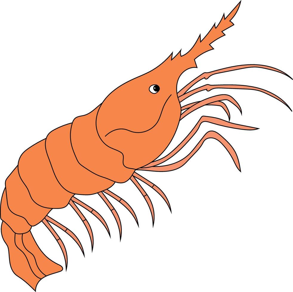 Colorful Shrimp Clipart for Lovers of Sea Life vector