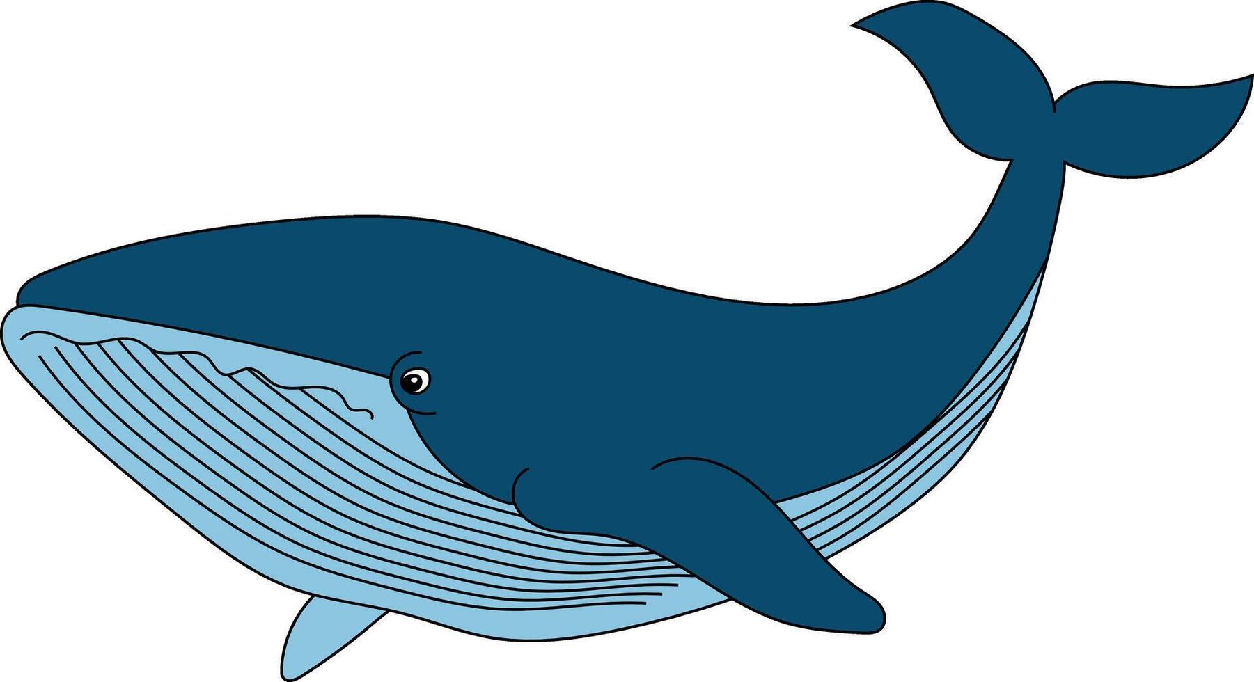 Colorful Whale Clipart for Lovers of Sea Animals vector