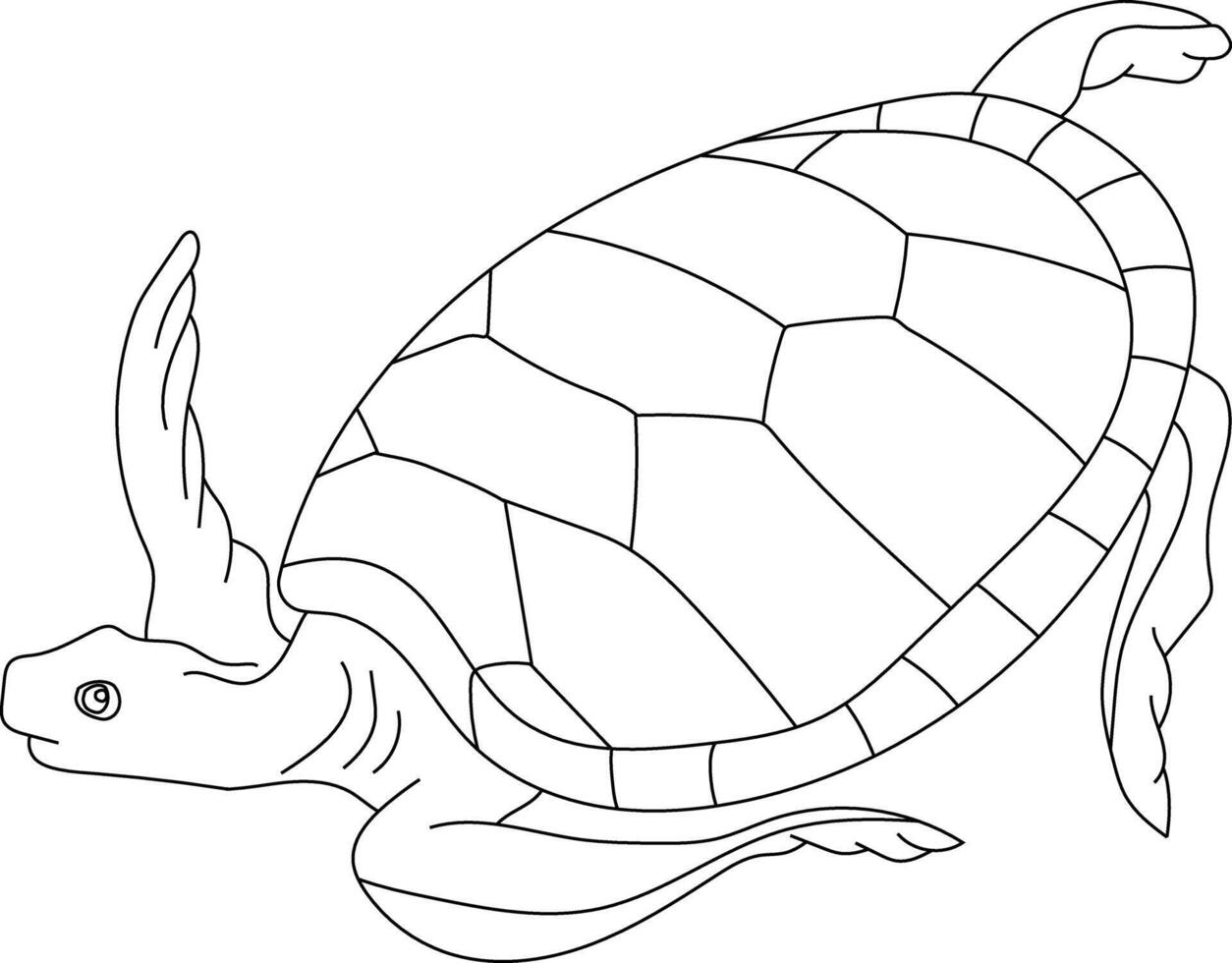 Outline Sea Turtle Clipart vector