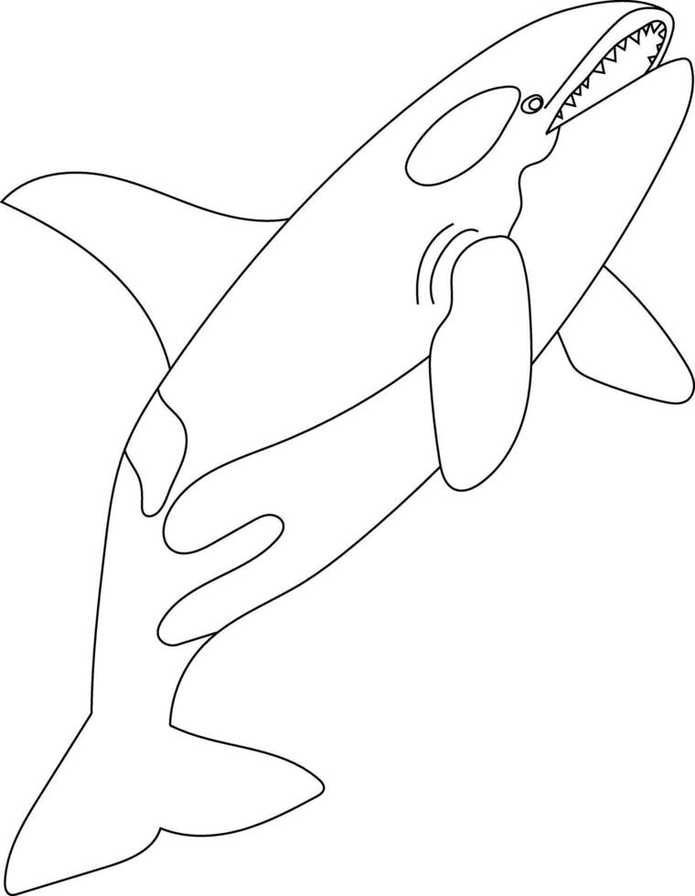 Outline Whale Clipart for Lovers of Ocean Creatures vector