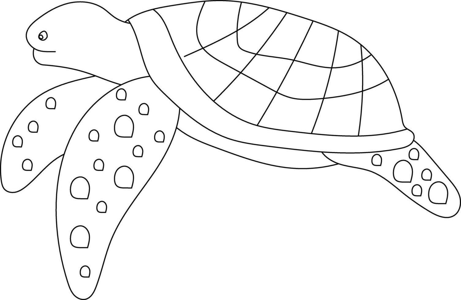 Outline Sea Turtle Clipart vector