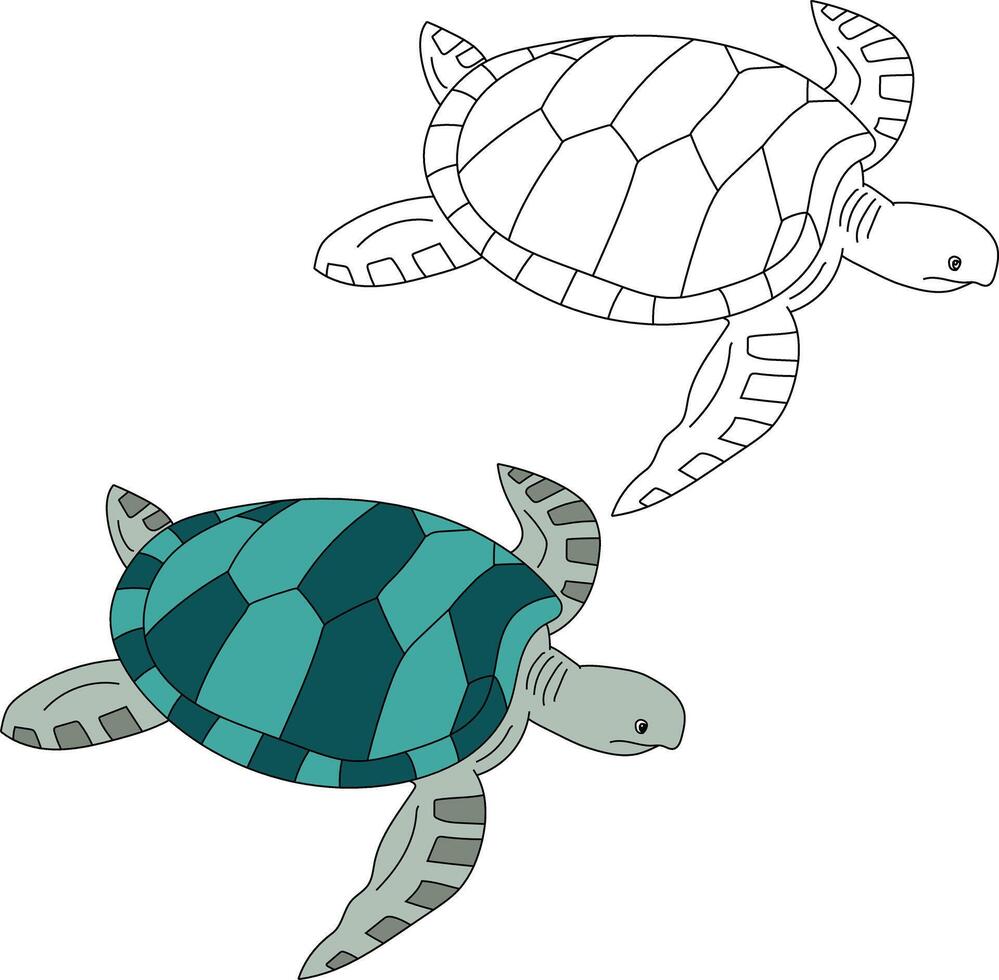 Sea Turtle Clipart Set. Outline and Colorful Turtles vector