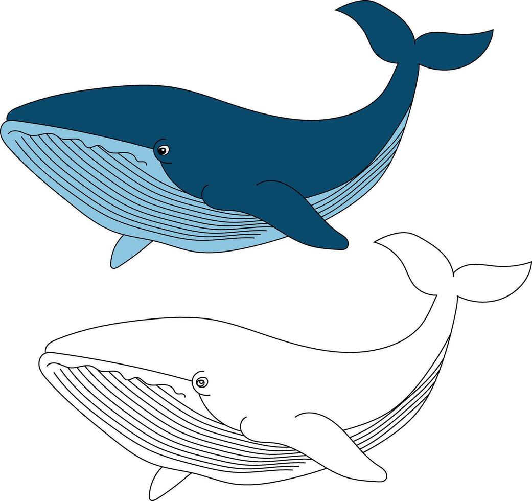 Whale Clipart Set. Colorful and Outline Whales Clipart vector