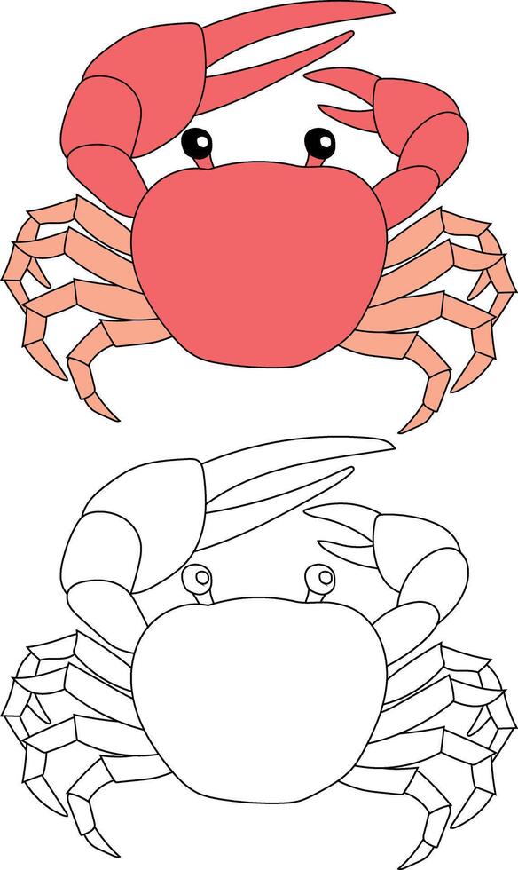 Crab Clipart Set. Colorful and Outline Crabs from The Sea Life vector
