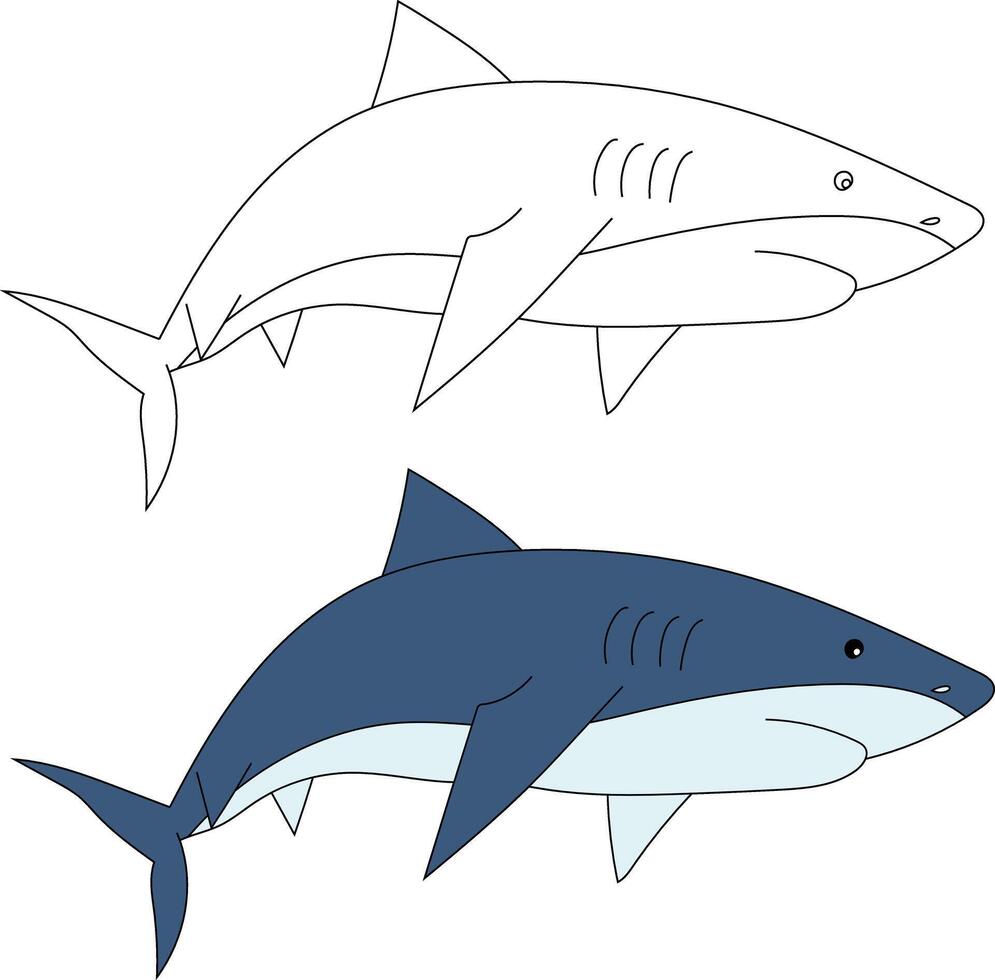 Shark Clipart Set. Colorful and Outline Sharks vector