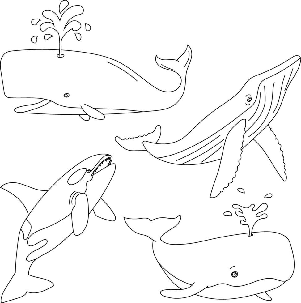 Outline Whale Clipart Set vector